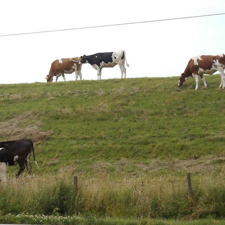 Moewennest Villa Neuharlingersiel Eksteriør bilde