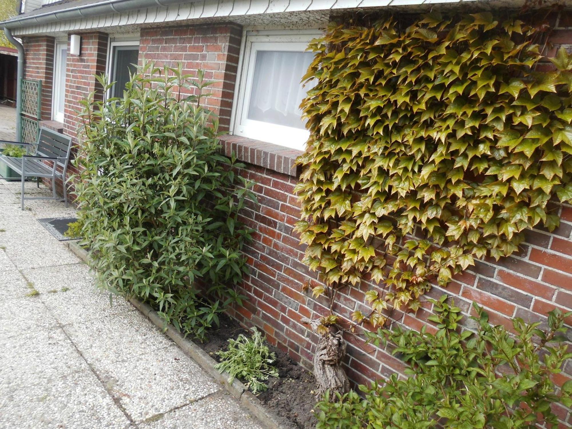 Moewennest Villa Neuharlingersiel Eksteriør bilde